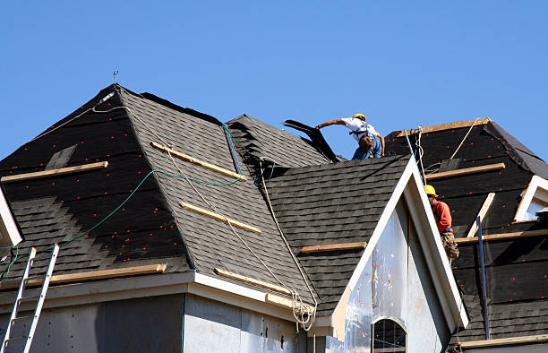 Professional Roofing Contractor in Bellview, FL