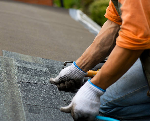 Best Storm Damage Roof Repair  in Bellview, FL